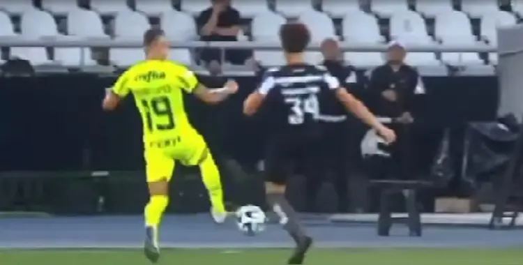lance no jogo entre palmeiras x botafogo