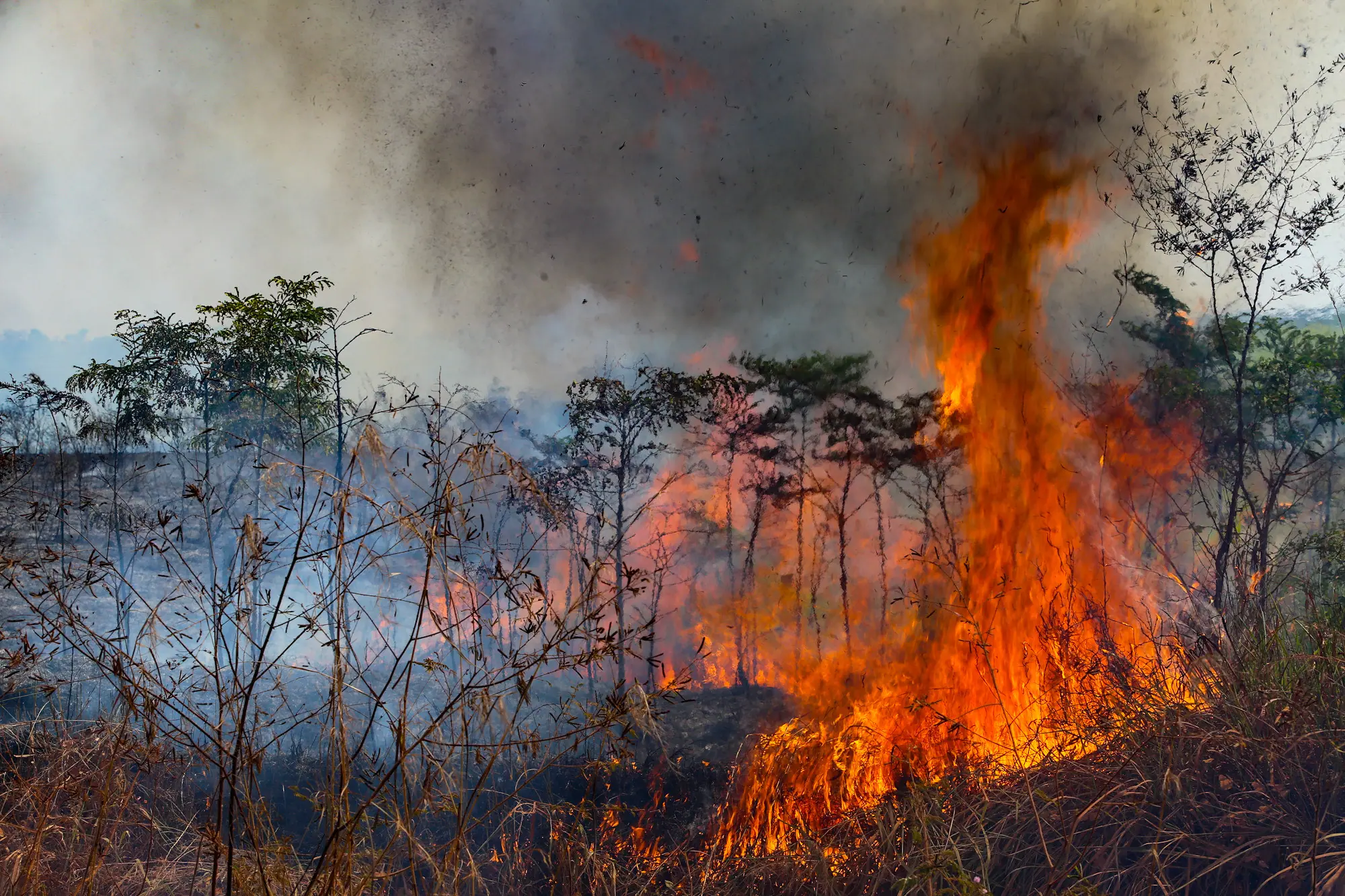 Queimadas na Amazônia, no Acre