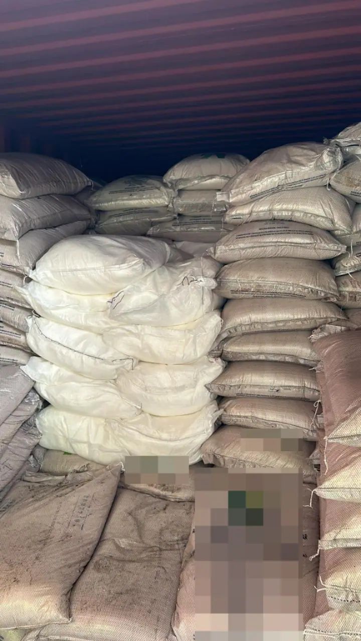 contêiner cocaína cubatão litoral SP