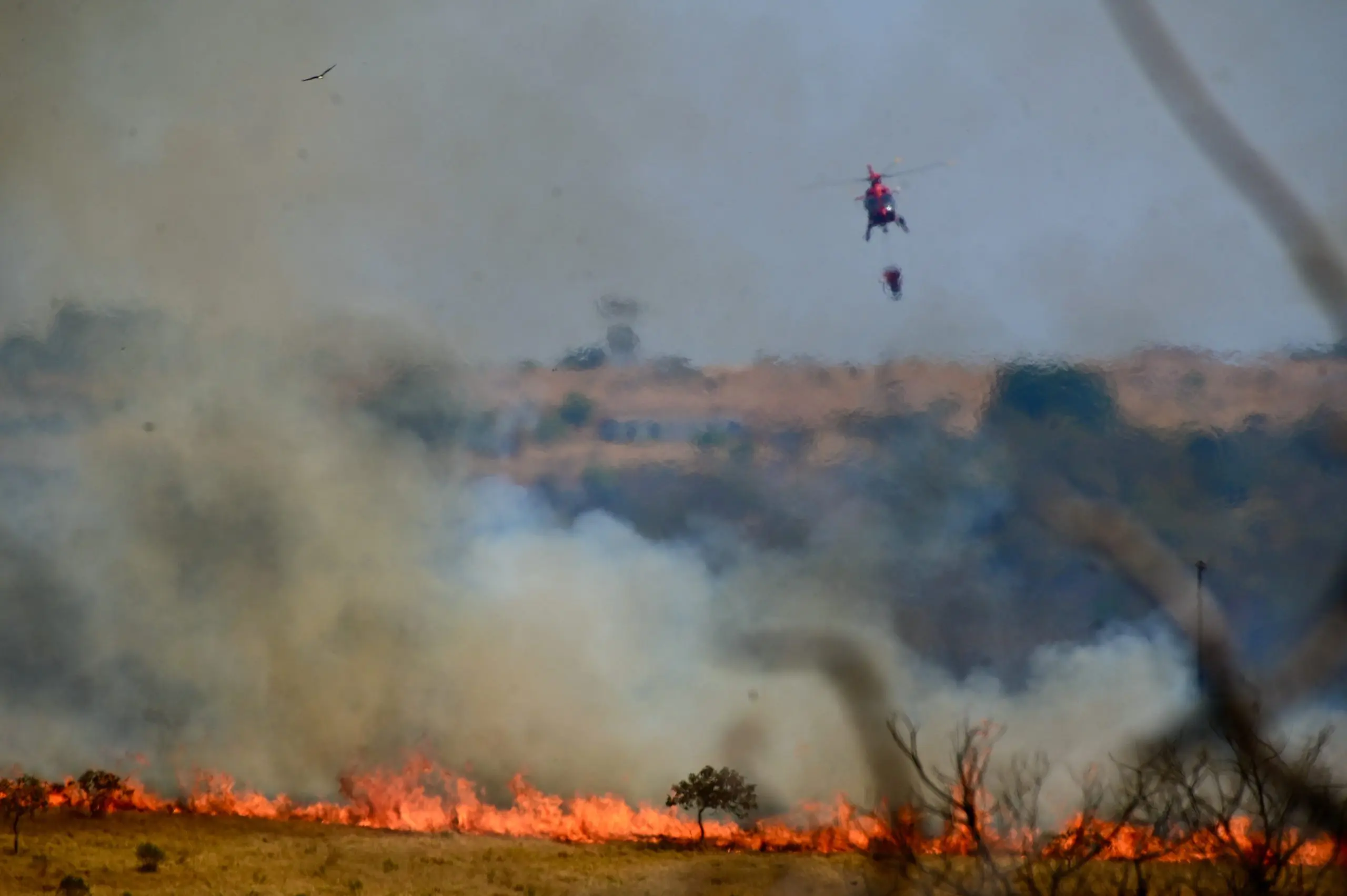 Bombeiros do Distrito Federal combatem incêndio no Cerrado da Área de Proteção Ambiental (APA) do Planalto Central, vizinha ao Parque Nacional de Brasília (DF), localizada a cerca de 40km do Palácio do Planalto — 18/9/2020 | Foto: Ruy Baron/Ishoot/Agência Estado
