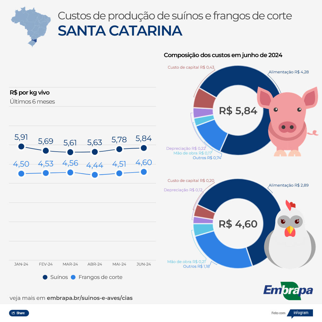 Em Santa Catarina, o custo de produção do quilo de suíno vivo chegou a R$ 5,84, um aumento de pouco mais de 1%, em comparação a maio | Foto: Divulgação/Embrapa