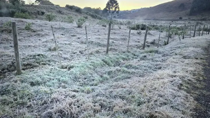 Geada em Santa Catarina
