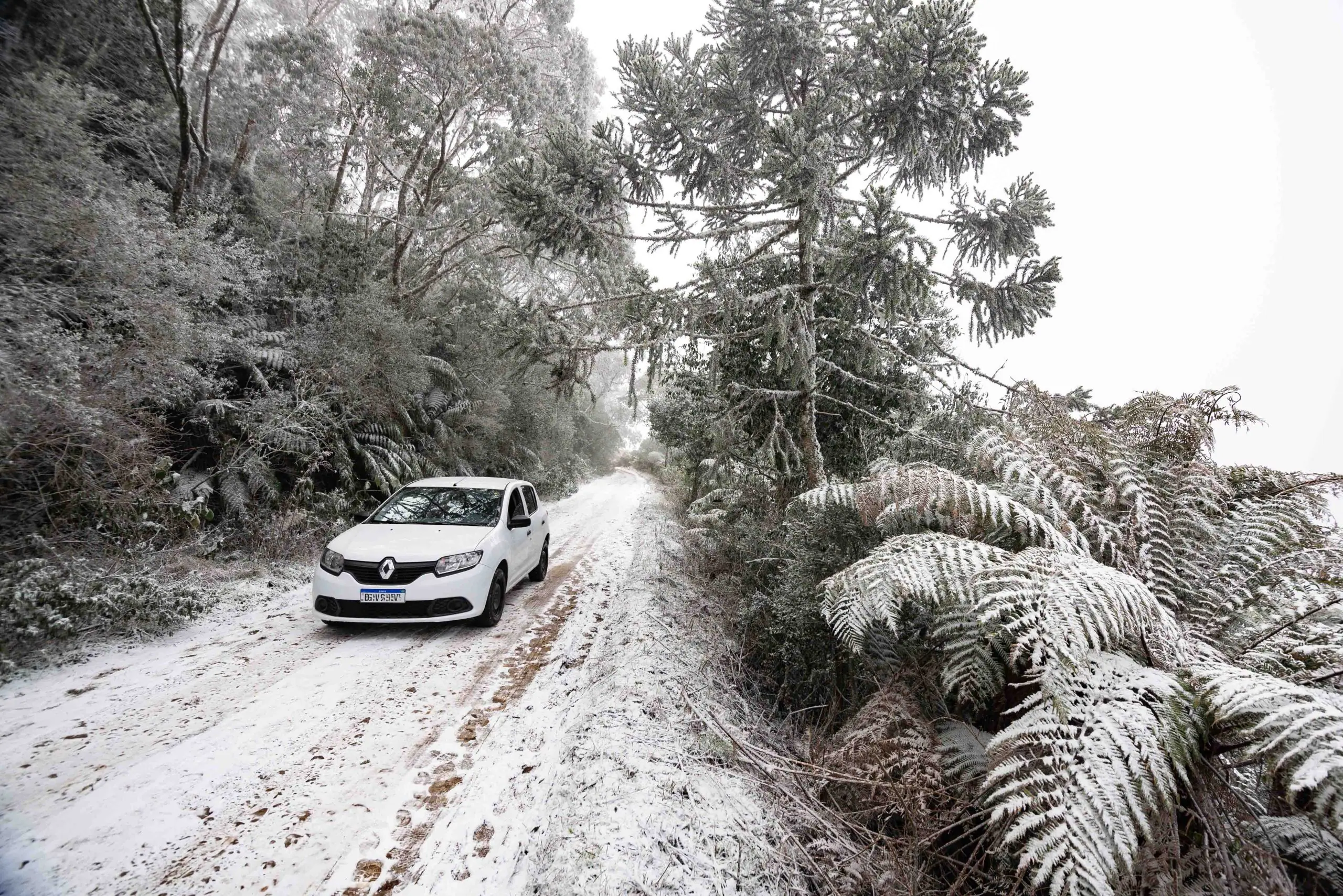 Neve em Urupema, cidade de Santa Catarina