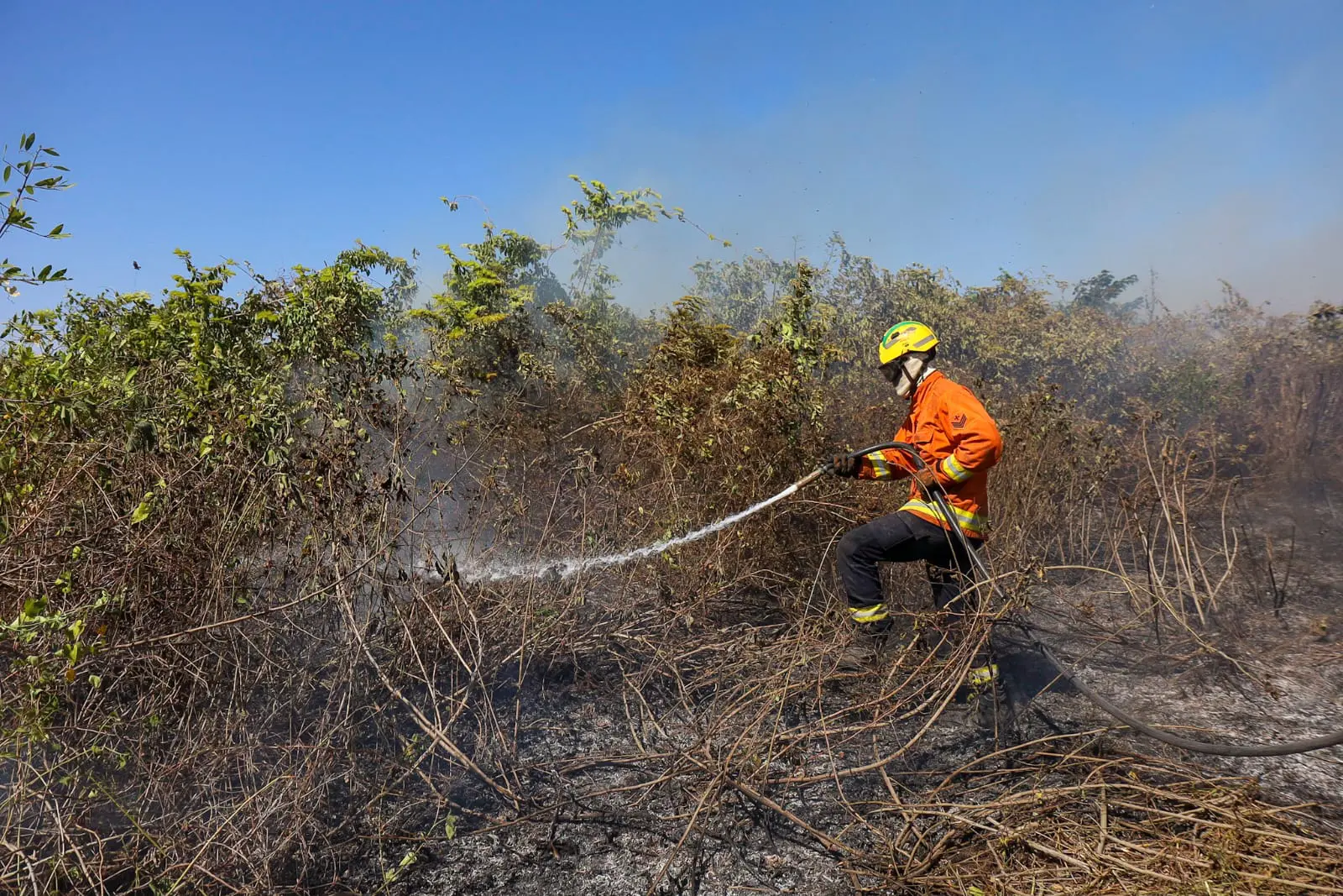 Operação Pantanal