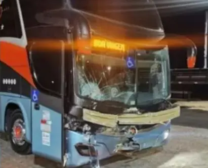 Vacas invadem pista e causam acidente. Foto mostra resultado do impacto entre ônibus e vaca em rodovia de São Paulo