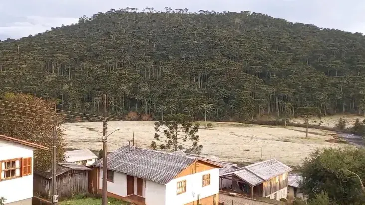 Moradores da Serra Catarinense registraram a geada | Foto: Reprodução/Sérgio Felipe/Redes sociais