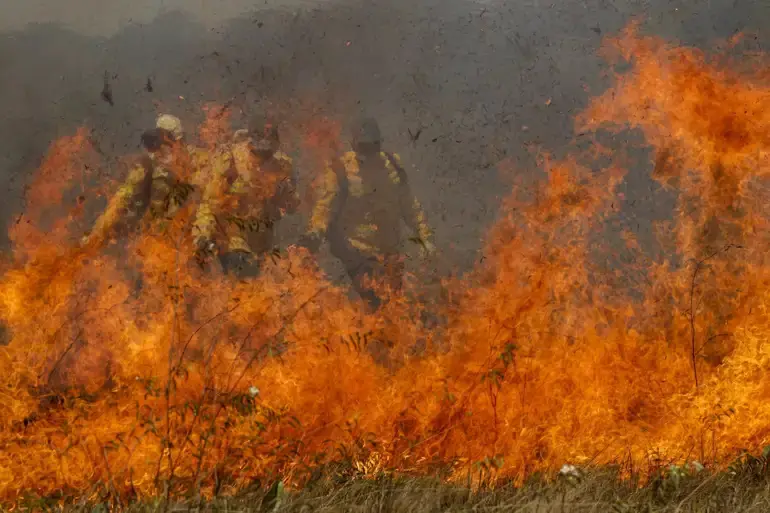 Registro de 2023 de incêndio no Pantanal
