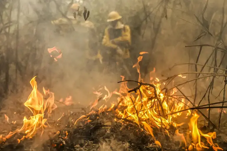 Incêndio em solo em área do Pantanal — Corumbá, 30/6/2024 | Foto: Marcelo Camargo/Agência Brasil