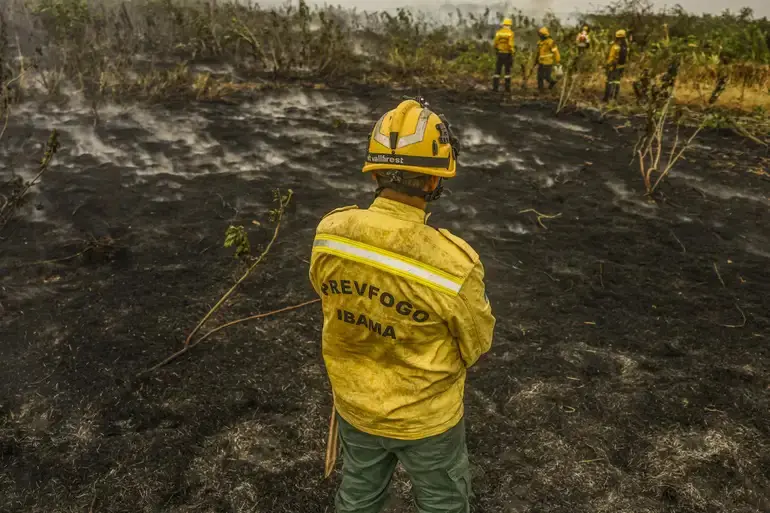 Profissional do Ibama diante de área afetada pelas queimadas; o campo virou cinzas — Corumbá, 29/6/2024 | Foto: Marcelo Camargo/Agência Brasil