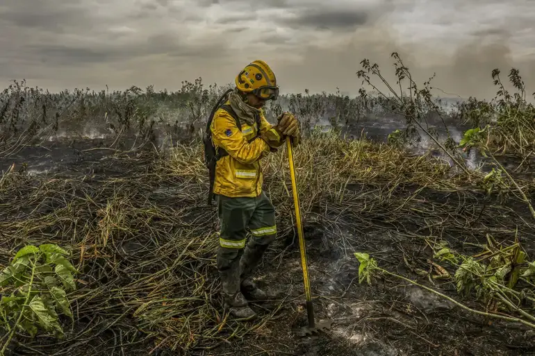Brigadista em área pantaneira depois de ser tomada pelo fogo — Corumbá, 29/6/2024 | Foto: Marcelo Camargo/Agência Brasil