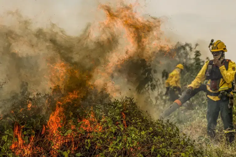 Brigadista do Ibama em ação de combate ao incêndio — Corumbá, 29/6/2024 | Foto: Marcelo Camargo/Agência Brasil