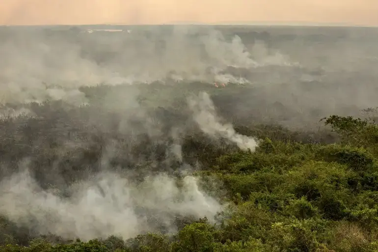 Vista panorâmica de área de mata no Pantanal com focos de fumaça