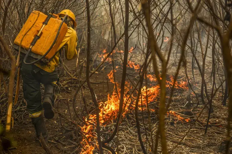 Brigadista tenta combater o fogo, que se alastra pelo solo em área próxima a Corumbá — 28/6/2024 | Foto: Marcelo Camargo/Agência Brasil