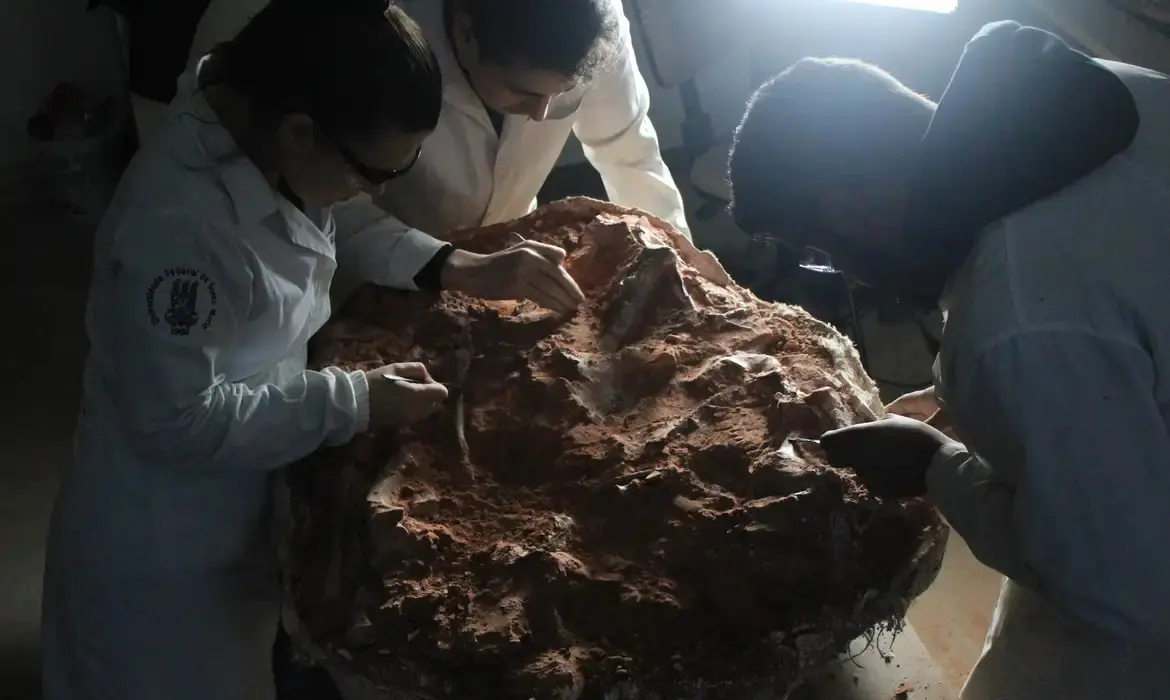 fóssil de dinossauro é encontrado depois de enchentes no Rio Grande do Sul
