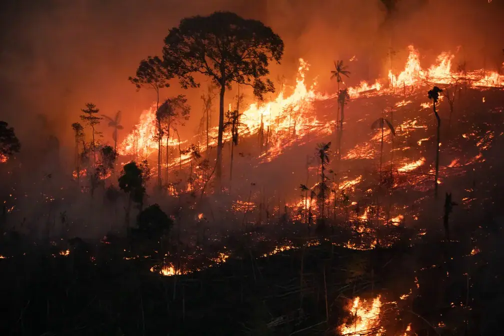 Focos de incêndio na Amazônia atingem maior patamar em 17 anos | Foto: Nilmar Lage/Greenpeace/Divulgação
