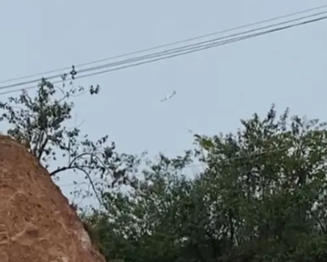 O avião bimotor que caiu em Vinhedo (SP) atingiu uma região de chácaras | Foto: Reprodução/Redes sociais