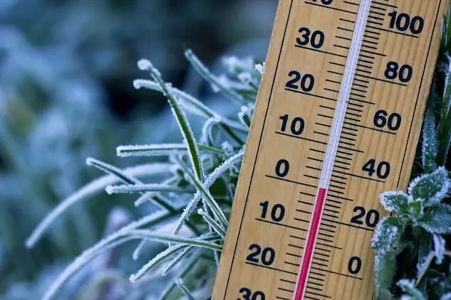 Não há mais previsão de neve, mas frente fria e geadas são esperadas em parte da Região Sul e no Sudeste | Foto: Reprodução/Inmet