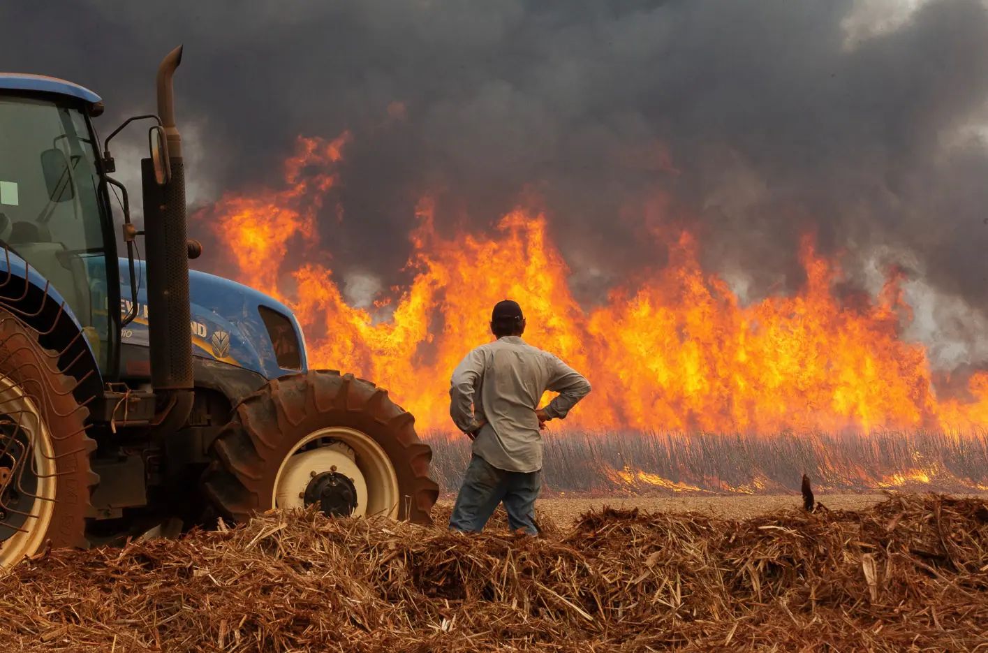 Um homem assiste aos incêndios em uma plantação de cana-de-açúcar, perto da cidade de Dumon - 24/8/2024 | Joel Silva/Reuters