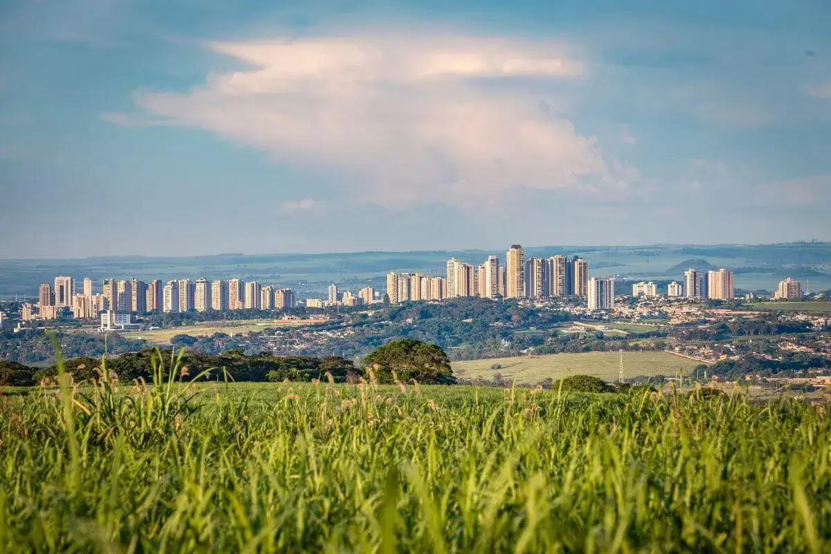 Imagem de zona rural de Ribeirão Preto/SP com a zona central ao fundo