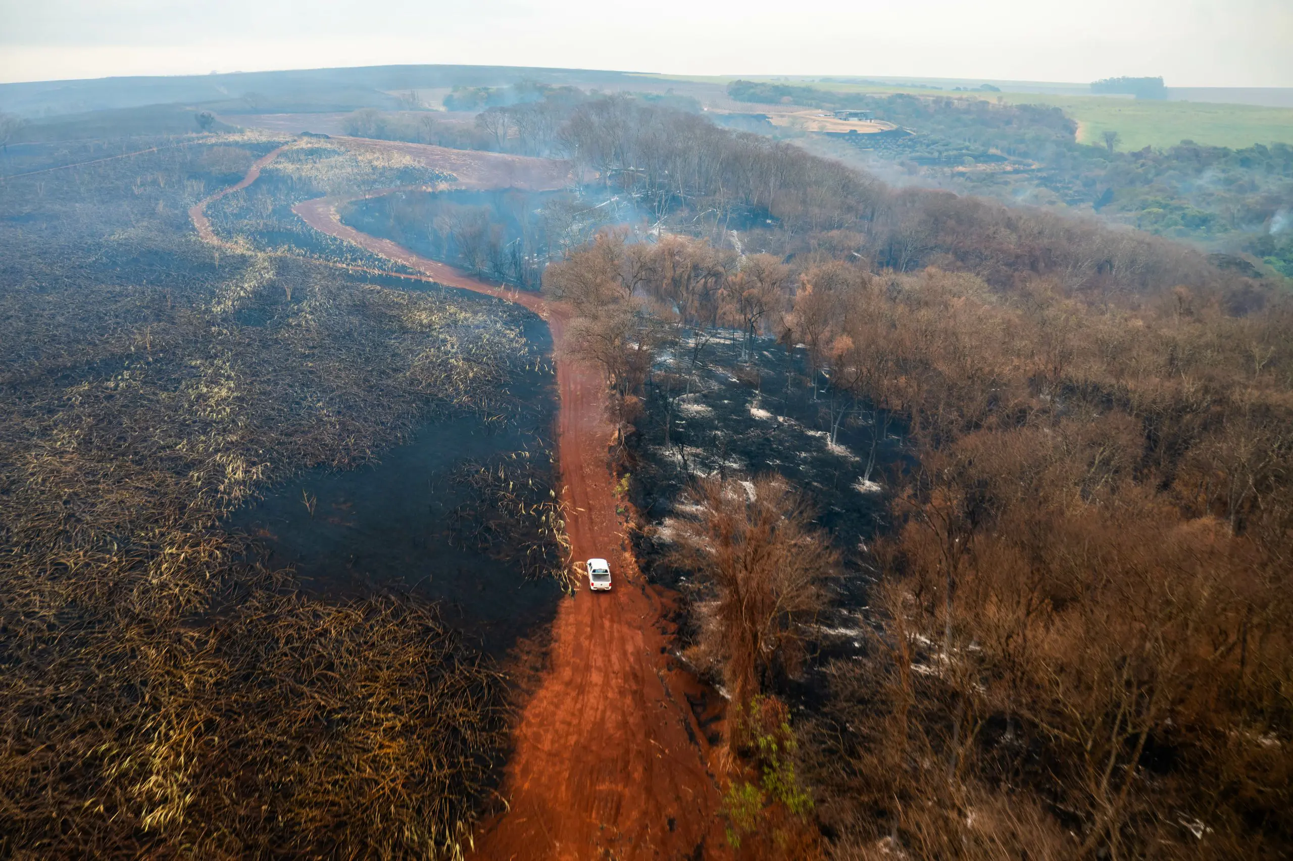 Vista aérea da zona sul da cidade de Ribeirão Preto, na manhã deste domingo (25), mostra o resultado dos incêndios florestais que atingem o Estado de Estado de São Paulo | Foto: Thiago Calil/AGIF - Agência de Fotografia/ Estadão Conteúdo