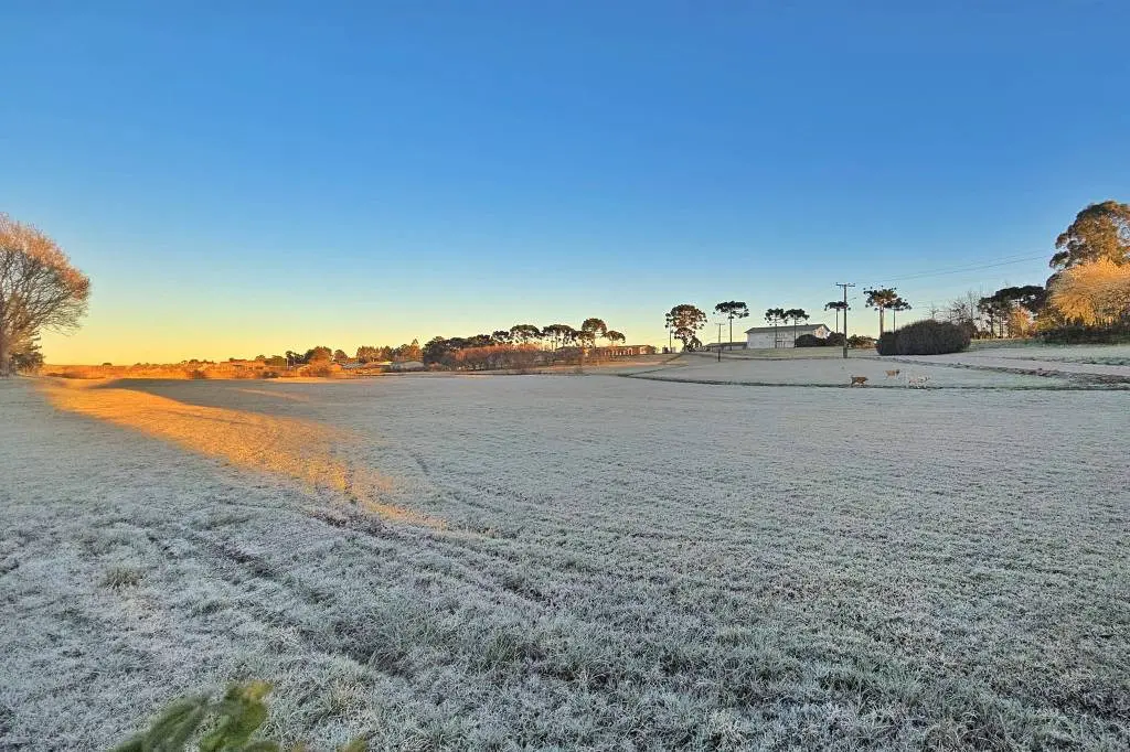 Inverno muda a paisagem da região serrana de Santa Catarina | Mycchel Legnaghi/Divulgação/@saojoaquimonline.com