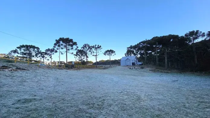 Inverno muda a paisagem da região serrana de Santa Catarina | Mycchel Legnaghi/Divulgação/@saojoaquimonline.com