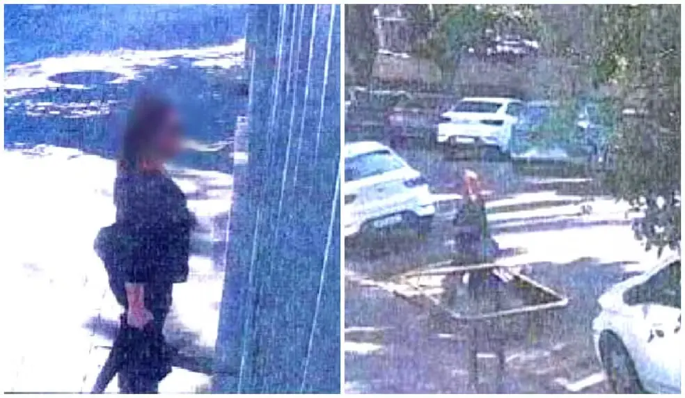 Foto da stalker da atriz Débora Falabella
