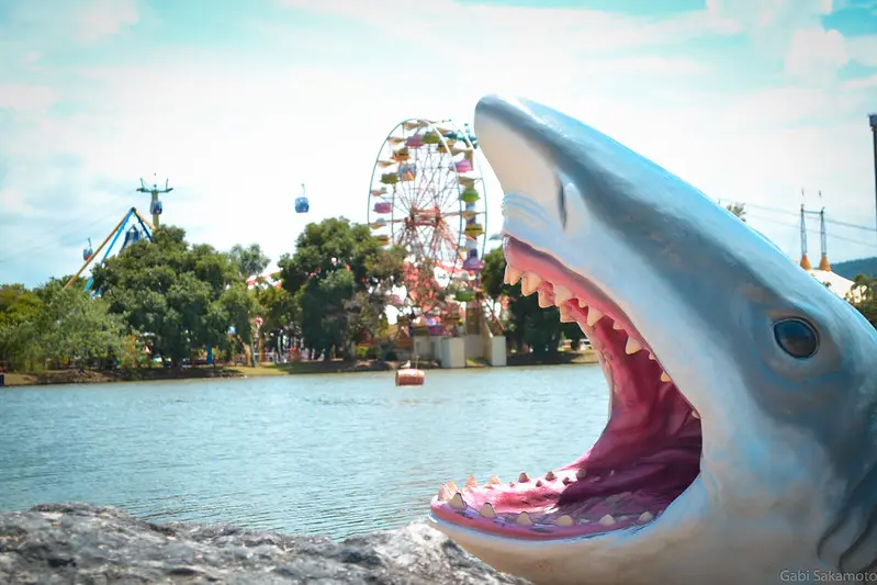O parque foi concebido com a ideia de proporcionar uma experiência única para visitantes de todas as idades | Foto: Divulgação/Beto Carrero World