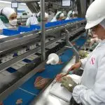 Brasil OMC UE