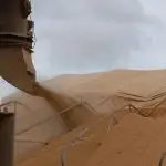 Abiove soja
