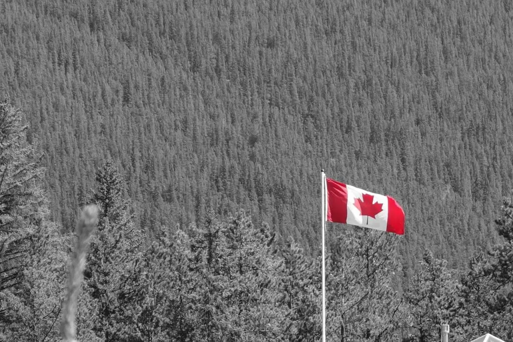 Novos - empregos - Canadá - maio