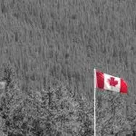 Novos - empregos - Canadá - maio