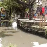 Saneamento no Brasil