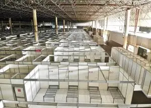 hospital de campanha do anhembi, covidão paulista, joão doria, bruno covas, coronavírus