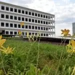 TCU STF