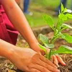 meio-ambiente - ações - ricardo salles - produtor rural