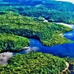 desmatamento - amazônia