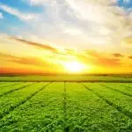 pib do agronegócio brasileiro - crescimento do pib - cna