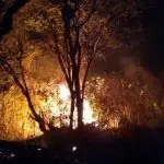 estado de emergência ambiental no ceará - camilo santana - pt