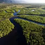 floresta amazônica - ativo econômico - kátia abreu