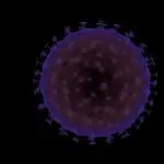 imunologia, observatório global de imunologia, harvard, coronavírus