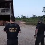 operação carranca, polícia federal,m meio ambiente, pará, desmatamento, extração ilegal de madeira