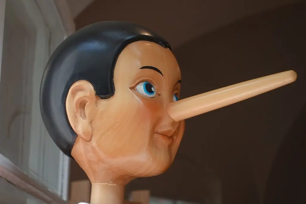 Políticos currículos
