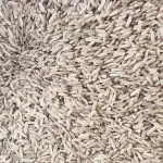 arroz