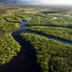 conselho consultivo amazônia - itaú - bradesco - santander