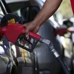 Gasolina
