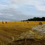 safra 2020, agricultura, agronegócio