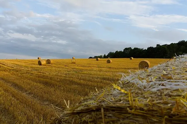 safra 2020, agricultura, agronegócio