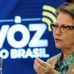 filipinas, omc, importação de frango, ministério da agricultura, tereza cristina