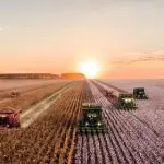 pib do agronegócio